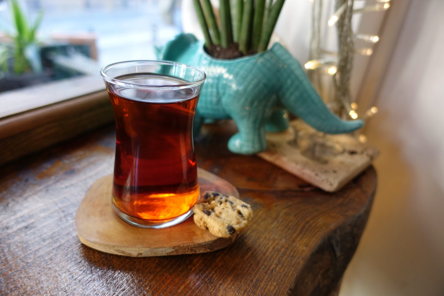 turkish tea cafe zoo Things to do in Istanbul